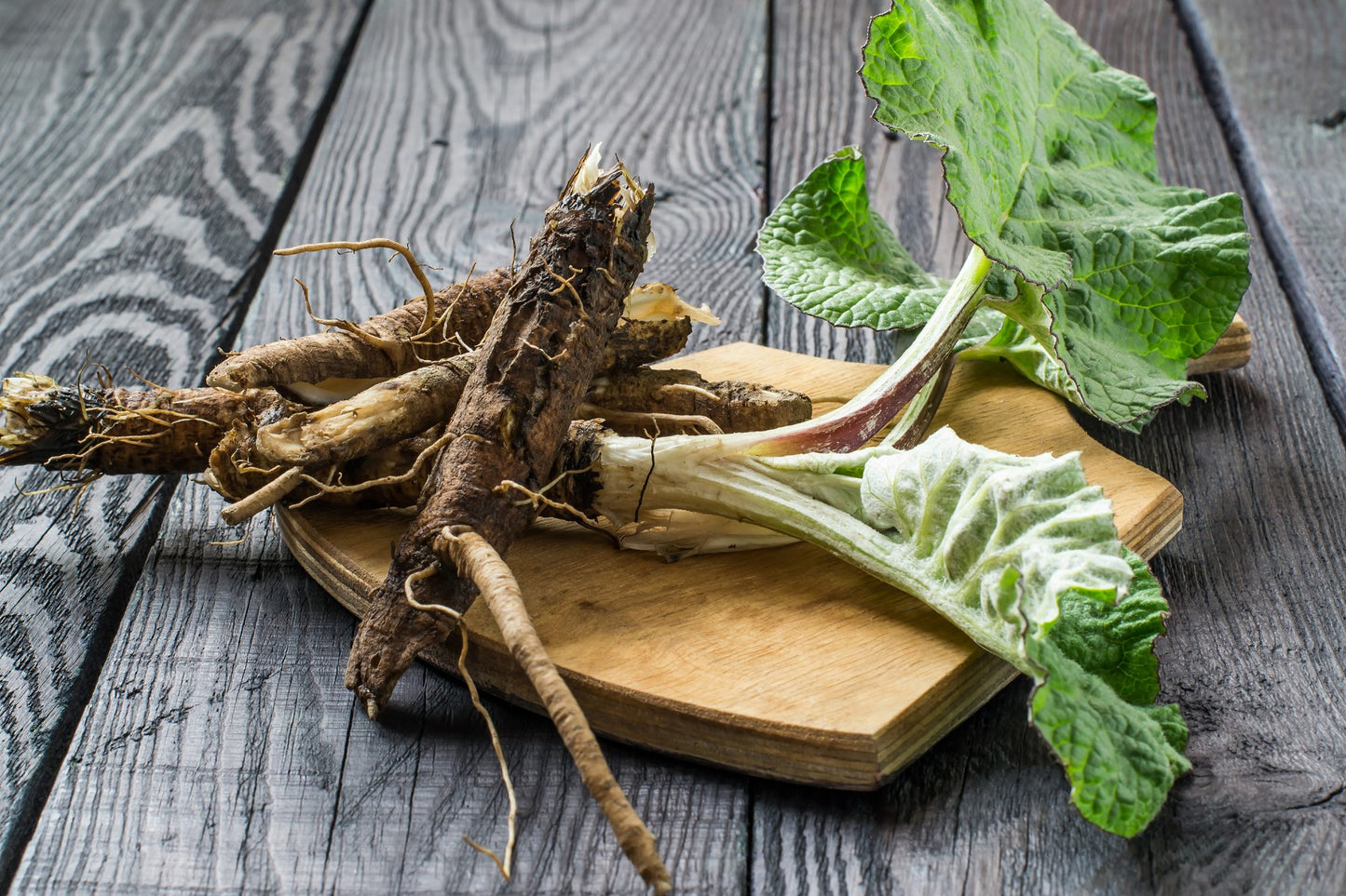 Burdock Root Powder Jamaican