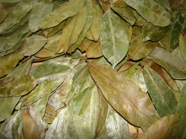 SOURSOP LEAVE's (JAMAICAN)